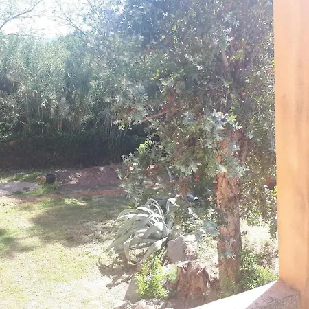 Magnifique Bord De Numero 88 *