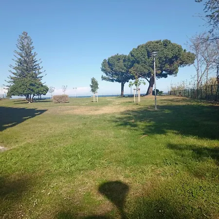 Magnifique Bord De Numero 88 * Santa-Lucia-di-Moriani