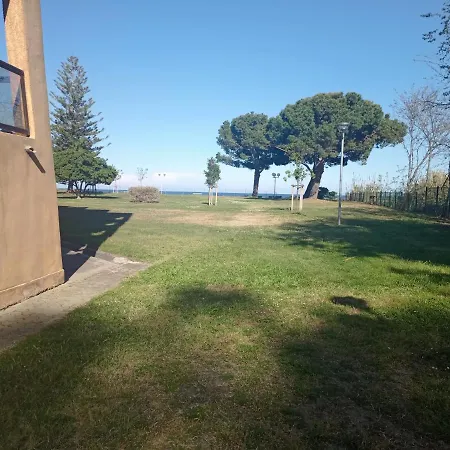 Magnifique Bord De Numero 88